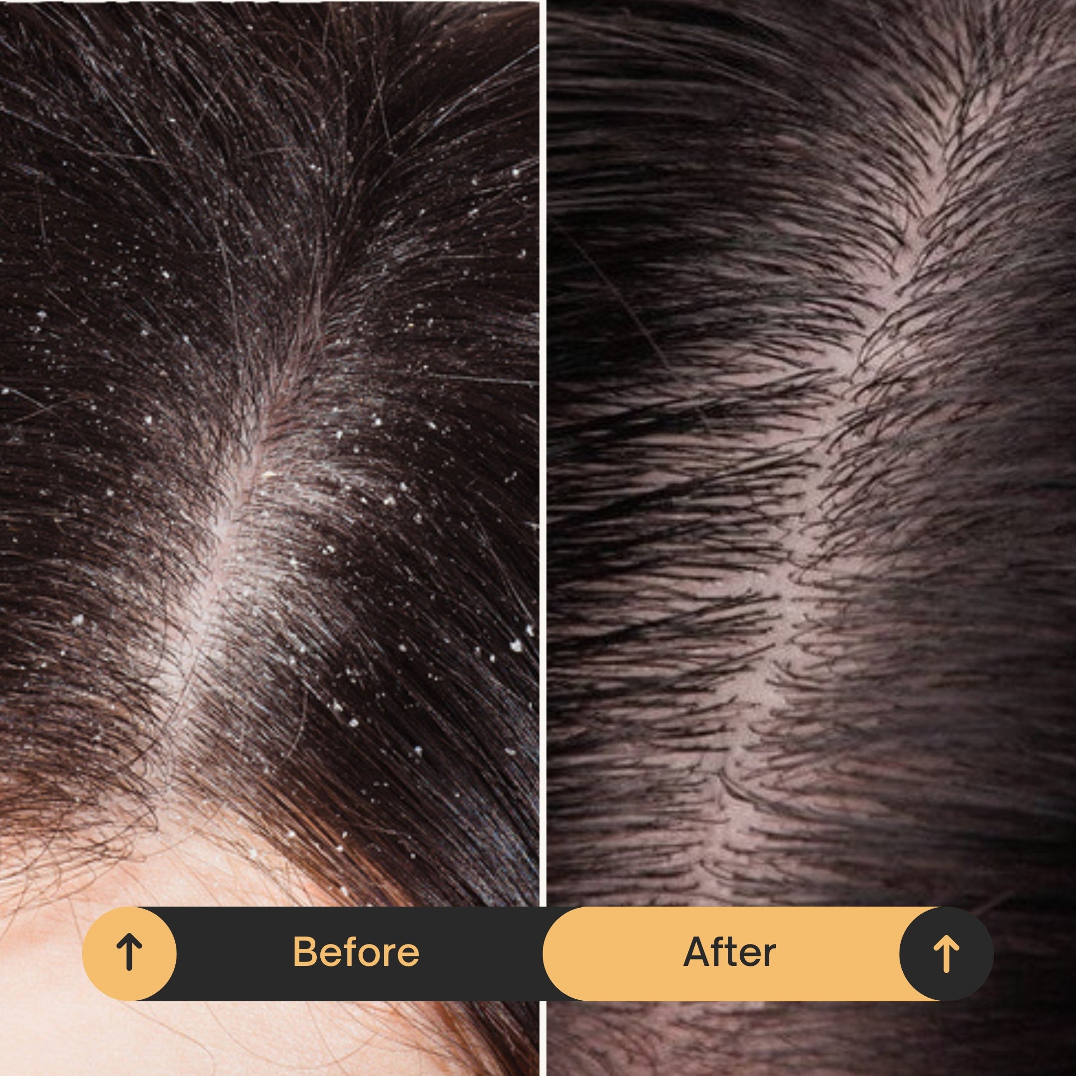 Organic Beef Tallow Shampoo & Conditioner Kit • Natural Hair & Scalp Moisture