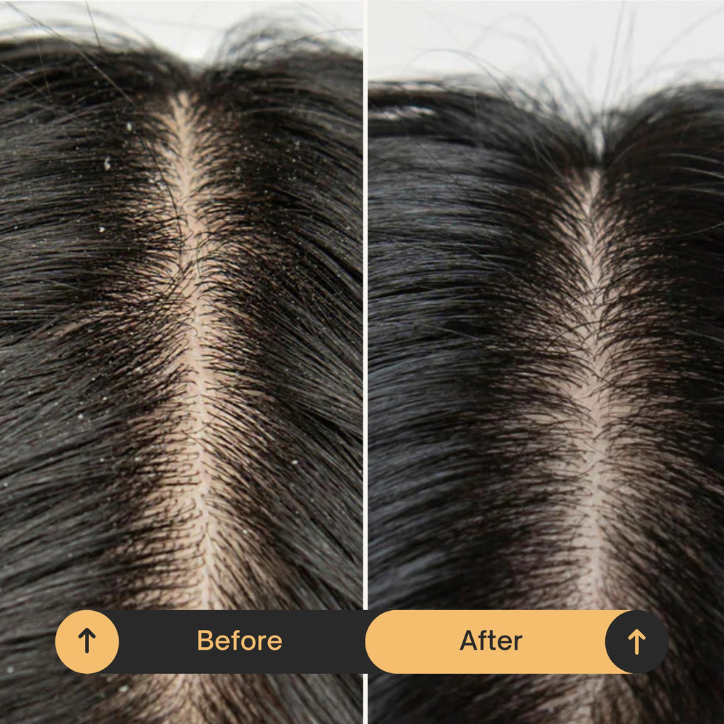 Organic Beef Tallow Shampoo & Conditioner Kit • Natural Hair & Scalp Moisture