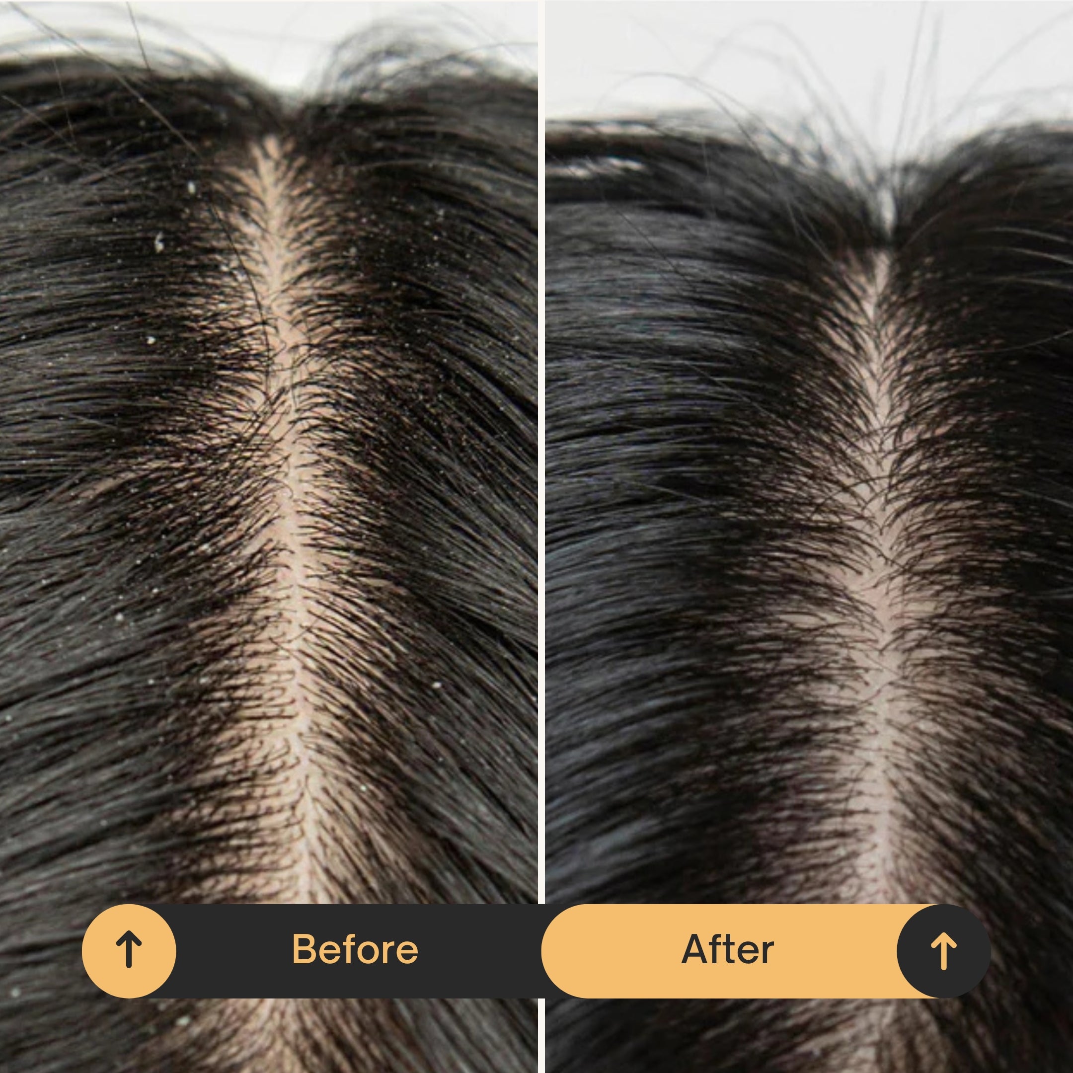 Organic Beef Tallow Shampoo & Conditioner Kit • Natural Hair & Scalp Moisture