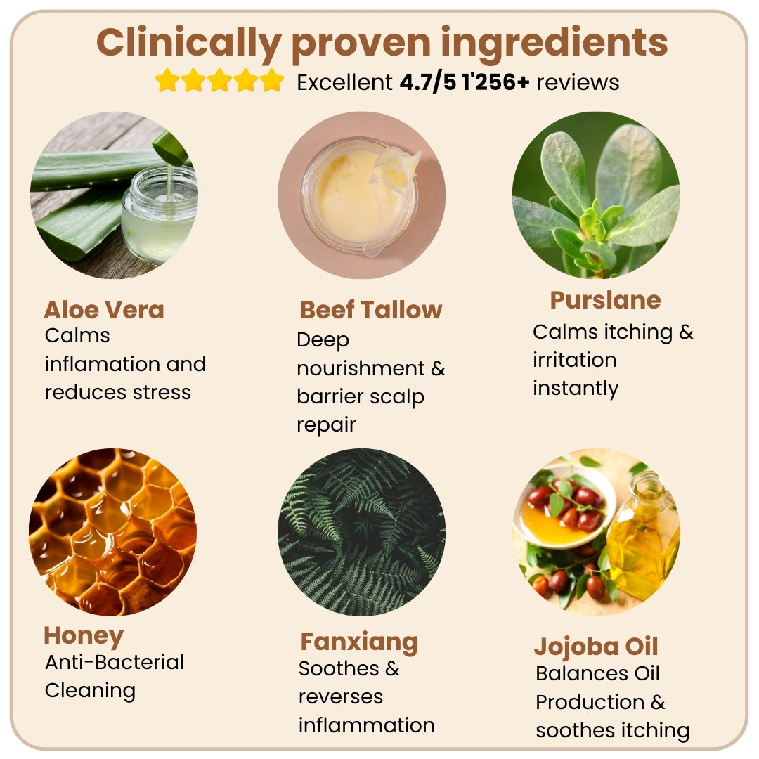 Natural Beef Tallow Plus Shampoo • Scalp Barrier Repair • Free Gifts