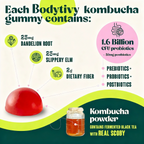 Kombucha Gummies | Gut Cleaning & Energy Restore